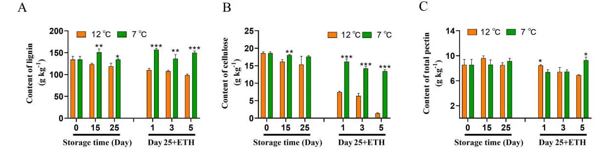 How Low-Temperature Stress Impacts Papaya Softening Transcriptomic Metabolomic Insights figure 3